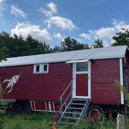 Zirkuswagen Nahe Ostsee Und Schlei Wagersrott Buitenkant foto