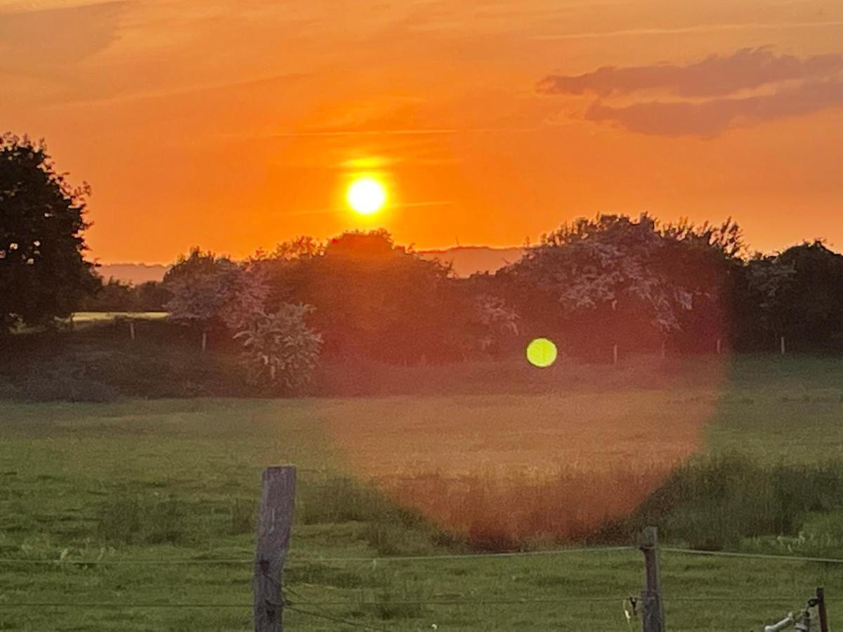 Zirkuswagen Nahe Ostsee Und Schlei Wagersrott Buitenkant foto